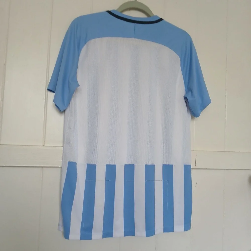 Nike Jersey Soccer Futbol Men's Large V-Neck Argentina Blue‎ White Stripe 894096